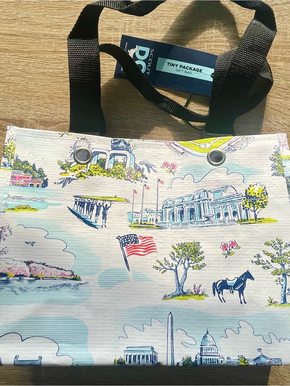 Scout DC Pastel Scenic Tote with Black Patch - Picture 2 of 9